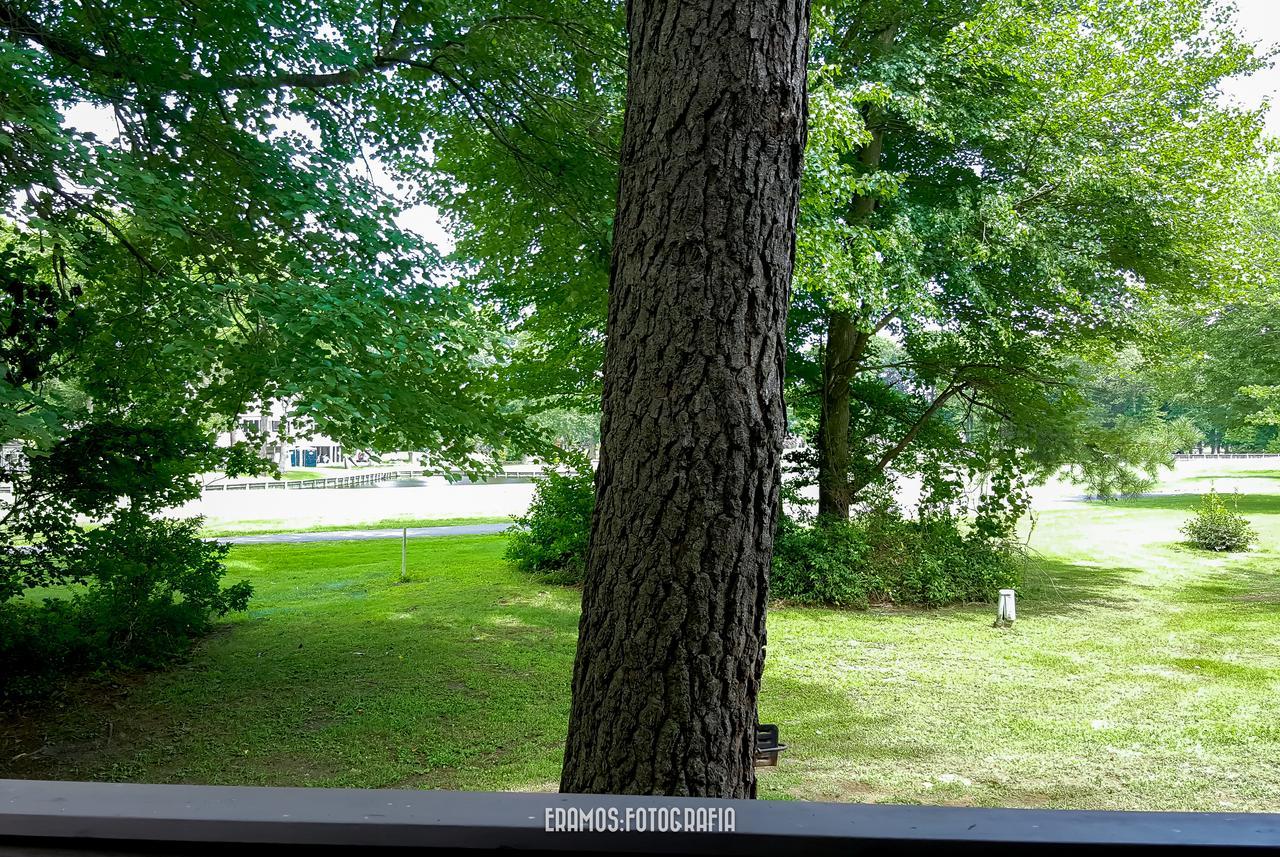 Villas Of Ocean Pines Ocean City Dış mekan fotoğraf